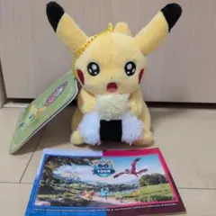 2026年最新】名古屋 限定 ピカチュウ ぬいぐるみの人気アイテム - メルカリ