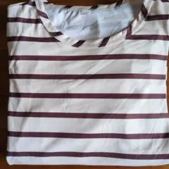 SHEIN新品ボーダールームウェア