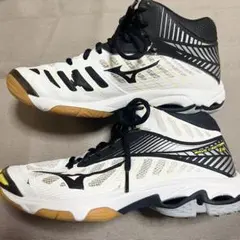 Item thumbnail for item e0d90c55-24c4-451f-8110-310a97eb1aa7