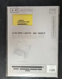 シュタインズゲートファイナルミッション　めっちゃ薄い本 2冊セット　秋葉会場限定 シュタインズゲートファイナルミッション めっちゃ薄い本 2冊セット