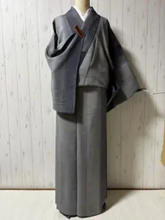 ☆夏物 斉藤三才の縦絽の透かし柄の小紋 m4365 - メルカリ