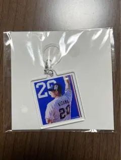 Item thumbnail for item 3d602bbe-5a77-4b9a-9732-3ae67e5d2a0b