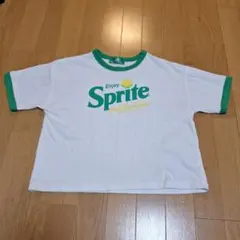 Item thumbnail for item 7ed6d513-37aa-4124-abac-af3e42fec7b6