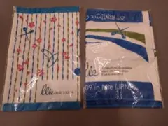 Item thumbnail for item 8a146717-2728-467f-8f16-1d377a4c3307