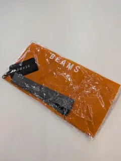 BEAMS　ビームス　ノベルティ　エコバッグ