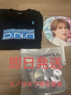 さ*ち様 即購入大歓迎　Aえ！group ペンライト銀テ　うちわ　ロンT DNA