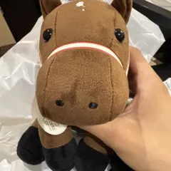 50枚限定 競馬 ホースレーシングカード フォーエバーヤング 坂井瑠星