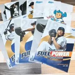 横浜ベイスターズ　湘南シーレックス　A4サイズのクリアファイル13枚セットのサムネイル