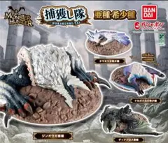 モンハン 捕獲し隊 亜種・希少種
