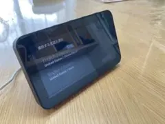 エコーシヨー5 第2世代　2022年購入