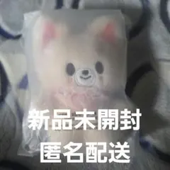 Stray Kids スキズSKZOO フラワーポーチ付きぬいぐるみ - メルカリ