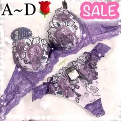 専用❤️パールレース❤️上下セット❤️全6色❤️人気のバックレース❤️珍しいカラー❤️ 専用です❤️パールレース❤️上下セット❤️全2色❤️人気のバック