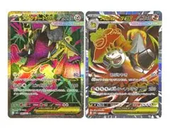 寶可夢卡牌 巨金怪EX 勇士鷹EX 巨金怪EX 勇士鷹EX