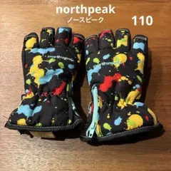 スキーグローブ