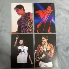 武知海青 PRIMAL SPIDER ポストカード