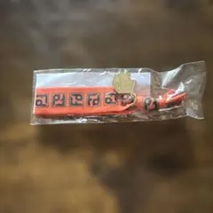 BUMP OF CHICKEN ツイストバンド PATHFINDER