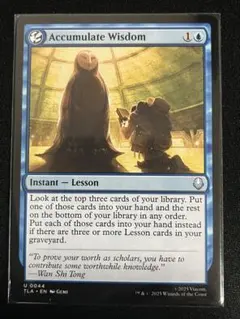 積み重ねられた叡智/Accumulate Wisdom