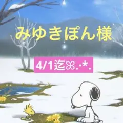 みゆきぽん様 専用ページ