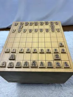 【値下げ】将棋盤と将棋駒（山一作） 将棋駒 泰黄楊特上彫 鵞堂 栄一作 | 前川榧碁盤店