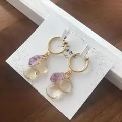 イヤリングNo.534 ꫛꫀꪝ✧‧˚