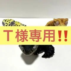 Item thumbnail for item 7735dd4c-26bc-49fe-8984-003f1b0396b8