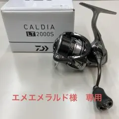 DAIWA 25 PROREX V LT2000S-XH ダイワ プロレックス - メルカリ