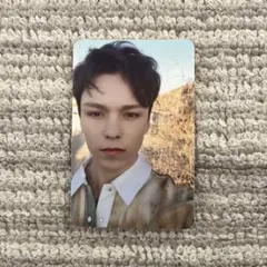 SEVENTEEN　ヘンガレ　トレカ　バーノン