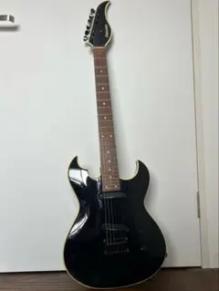 フェルナンデスBT110HH 星野英彦モデルのサムネイル