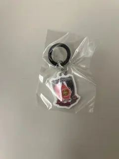 우라와 레즈 마크 매력