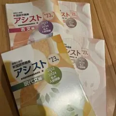 新国語問題集　アシスト　古典と現代文 私大入試問題【新品・未使用】