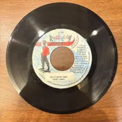 レゲエレコード TERRY LINEN／TRY IT ON MY OWN