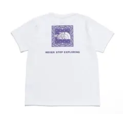 Item thumbnail for item fa72e126-41b7-48f3-b2a7-19e8e9fb4fff