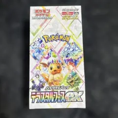 2026年最新】シュリンク テラスタルフェスの人気アイテム - メルカリ