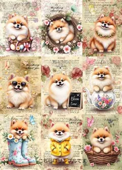 niconicococochi様 リクエスト 2点 まとめ商品