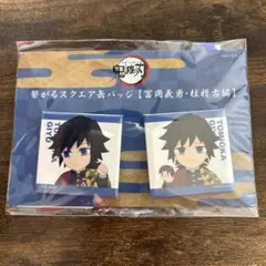 鬼滅の刃　冨岡義勇　みにきゃら繋がるスクエア缶バッジ