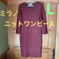 【ROSSANA ORLANDI 】バーガンディ ニットワンピース Lサイズ