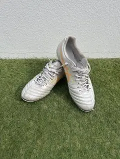 DS LIGHT X-FLY PRO 2