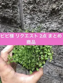 ビビ様 リクエスト 2点 まとめ商品