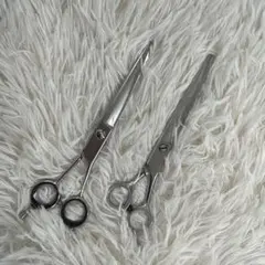 Item thumbnail for item c645f0c6-1e27-460a-a3a6-f86331bd8139