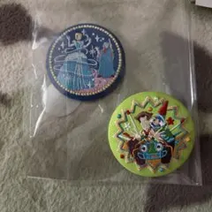 ディズニー刺繍缶バッジ 2個セット トイストーリー&シンデレラ