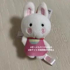 サンリオキャラクター大賞 マスコット 2025 チアリーチャム