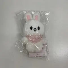 2026年最新】SKzoo リービット 10cmの人気アイテム - メルカリ