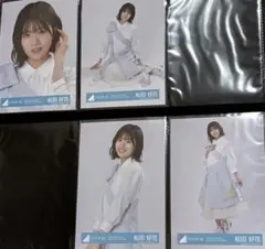 Item thumbnail for item e6d4b349-c0e1-4cdb-b319-a3c26ed87b18