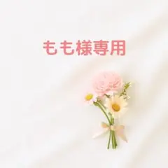 【専用】4種類のアニマルのおもち モールド 大小セット
