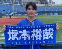 ベイスターズ 応援グッズ