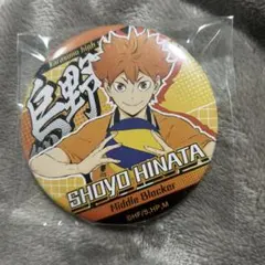 ハイキュー!! 日向翔陽 缶バッジ 75mm