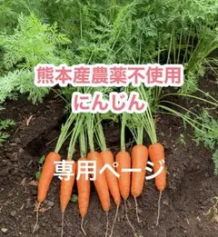 熊本産 農薬不使用 にんじん 1.3kgのサムネイル