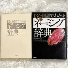 初版 新明解ナム語辞典 Amazon.co.jp: 新明解ナム語辞典 : 西島 孝徳, ナムコ: 本