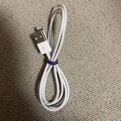 Apple Lightning USBケーブル 純正品