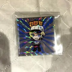 CR カワセ クレイジーラクーンマンコレクターシール No.11